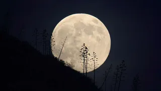 Россия планирует начать освоение Луны