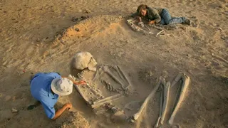 Британский антрополог Рассел Демент разгадывает тайны скелетов чрезмерно высоких людей