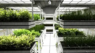 Марсианское сельское хозяйство