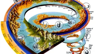 Жизнь на Земле зародилась на 300 миллионов лет раньше