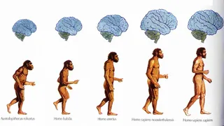 Почему мы так и не нашли ответ на вопрос: как и когда появился человек? 