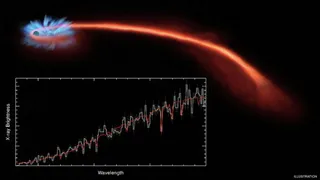 Астрофизики более детально изучили процесс поглощения звезды черной дырой