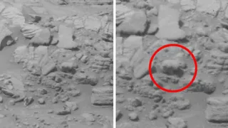 Новое фантастическое открытие уфологов: на Марсе водятся медведи 