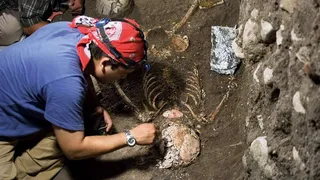 В Испании нашли останки самого древнего общего предка обезьян и людей