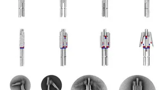 Первый нано-робот из молекул ДНК был представлен миру 