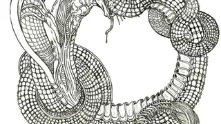 Мировой Змей – религиозные тайны различных народов мира