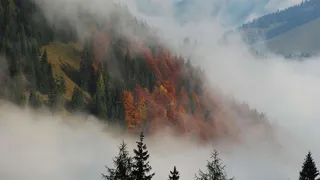 Землю покроют туманы и смог 