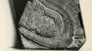 Тайна аномальных окаменелостей раскрыта