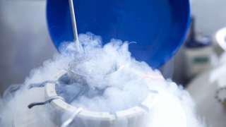 Ученые усовершенствовали технологию заморозки/размораживания человеческих органов и тканей 