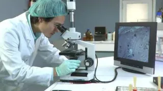 Найдена новая составляющая человеческой иммунной системы 