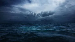 Загадочные формы жизни заполняют океаны