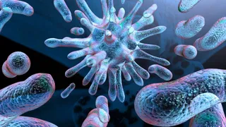 Бактерии из Антарктиды и Арктики отправятся в космос