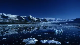 К 2050 году лед в арктических морях может стать сезонным явлением 