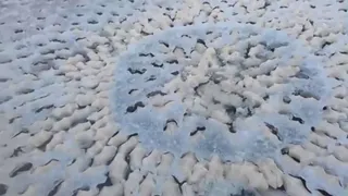 Странный след на замерзшем озере обнаружили в штате Юта 