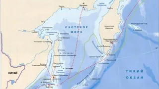 В Охотском море нашли неизвестные науке ранее микроорганизмы