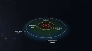 В обитаемой зоне близлежащей звезды «Вольф 1061» имееются экзопланеты 