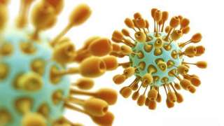 Британские ученые создали вакцину против коронавируса «MERS» 