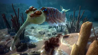 Почему и когда произошел «Кембрийский Взрыв» 