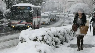 На острове «Амами-Осима» впервые за 100 лет выпал снег