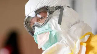 В США зафиксирована вспышка вируса «Зика» 