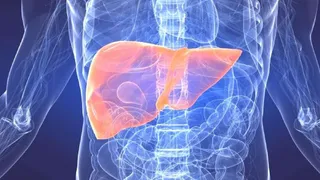 Ученые из Китая создали первую биоискусственную человеческую печень 