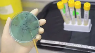 Фармацевты из Вашингтона создали универсальное лекарство против гриппа