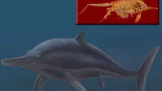 Ученые определили истинную причину вымирания ихтиозавров 