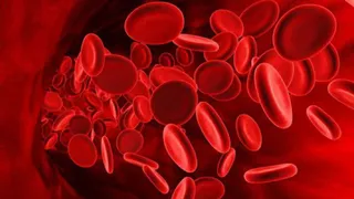 Скотт Келли и Михаил Корниенко рассказали, что происходит с человеческой кровью в космосе