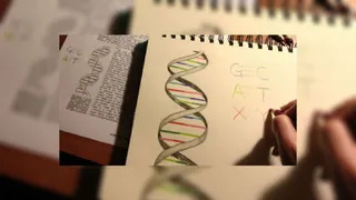 Ученые впервые создали живое существо искусственным путем