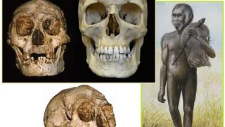 Ученые определили, когда вымерли индонезийские «хоббиты»