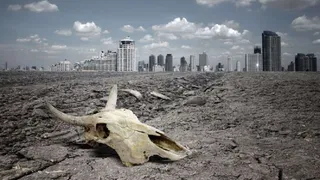 Ученые выяснили, как выжить в ходе массового вымирания