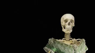 Вещи, которые убили своих хозяев