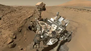 Живые организмы с Земли могут помешать исследованию Марса