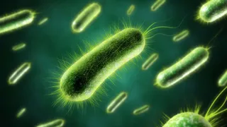 Марс может быть обитаем