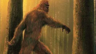 Охотники нашли живого Йети