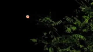 День народного единства с НЛО