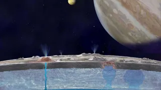 Есть ли жизнь на Европе