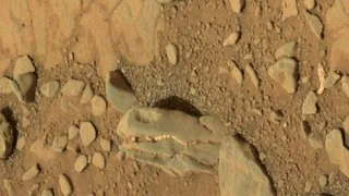 Динозавры на Марсе