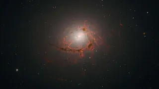 "Усатая" галактика будет уничтожена