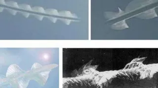 Параллельный мир так и не будет изучен