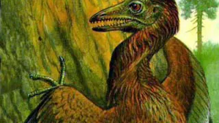 Найдены окаменелости птицы, возраст которой более 90 млн лет