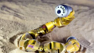 Роботы-змеи и дрон "Астропчела" будут помогать на МКС