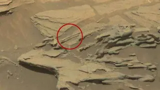 Марсианская ложка вызывает споры и недоумение