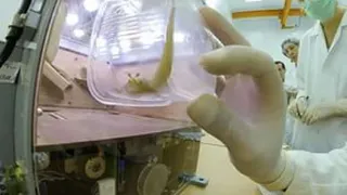 Эксперимент "Фотон-МКС" успешно завершен 