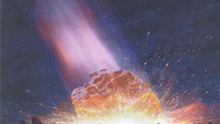 Найдены новые причины Великого ордовикского биоразнообразия