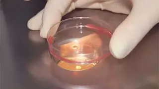 В Китае родился ребенок из эмбриона, замороженного в 2000 году