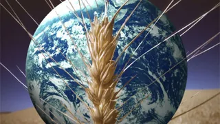 Через 10 лет на Землю обрушится голод