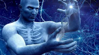 США планируют снять запрет на генную модификацию человека 