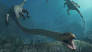 В Китае найдены древние останки беременного предка динозавров 