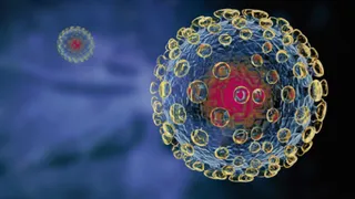 В Мексике обнаружены вирусы возрастом более 50 тысяч лет